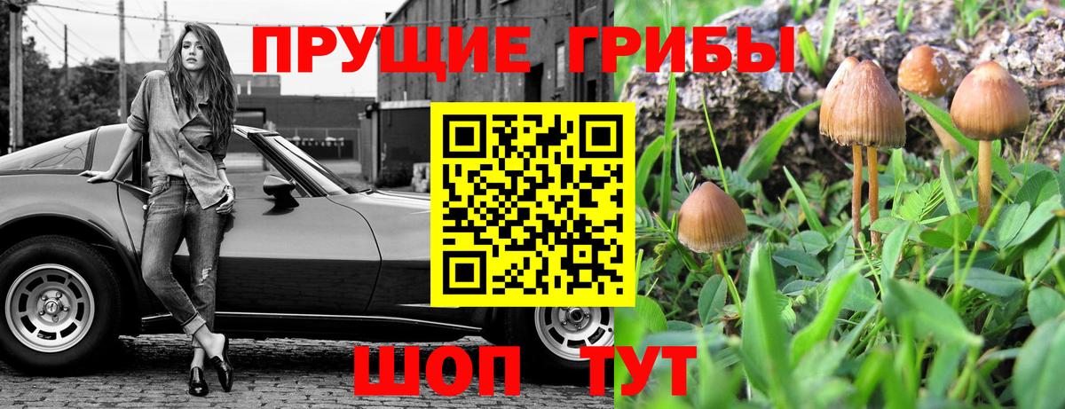 Псилоцибиновые грибы мицелий  где продают наркотики  Лыткарино  Псилоцибиновые грибы прущие грибы  Вход с VPN 